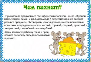 Игры с запахом